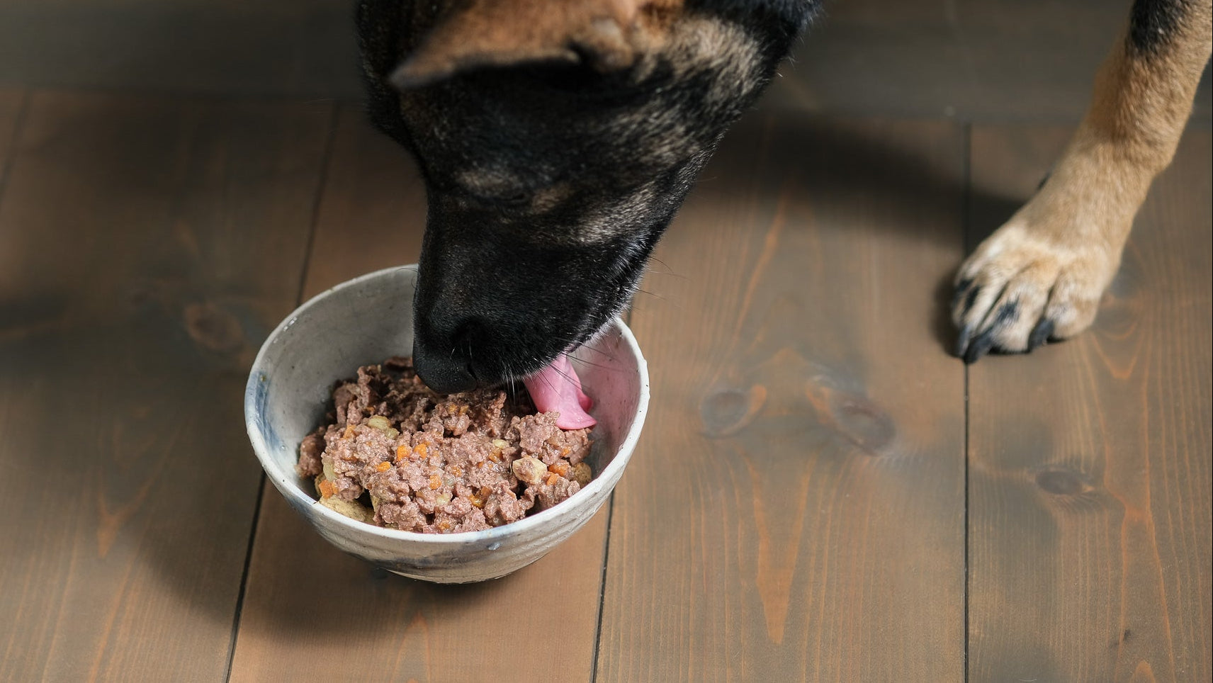 白いボウルに顔を入れてごはんを食べる愛犬ウミ。